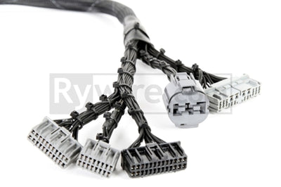 Rywire Honda B-Series OBD1 Tuck Budget Eng Harness w/OBD1 Dist/Inj/Alt/92-95 ECU Plugs (Adapter Req) - Engine Components