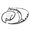 Rywire Honda K-Series Tucked Budget Engine Harness w/OBD2 02-04 RSX K20 Sensor/Headlights VSS - Components