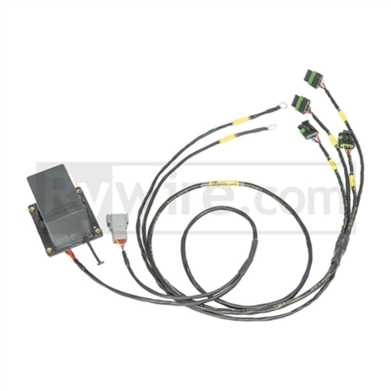 Rywire IGBT (AEM/IGN-1A) Coil Sub-Harness for 2 Rotor Engines - Engine Components