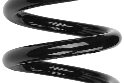 RACE TECH Shock Spring 8.1kg - Jackets