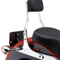 COBRA Short Sissy Bar Chrome Flst 07 17 - Body