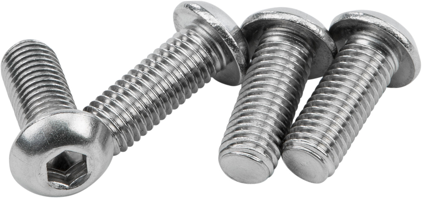 HARDDRIVE Sissybar Hardware 1/4 28 X 5/8 Stainless - Hardware/Fasteners/Fittings