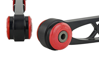 Skunk2 Racing 1996-00 Honda Civic Black Series Lower Control Arm - Suspension