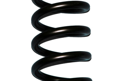 Skyjacker Coil Spring Set 1980-1996 Ford F-150 4 Wheel Drive Rear - Suspension