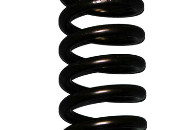 Skyjacker Coil Spring Set 1994-1996 Mazda B3000 - Suspension