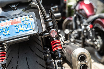 BURLY BRAND Slash Cut Lic Plt Kit With Ts Black - Illumination