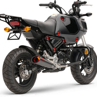 COBRA Solo Luggage Rack Black Formed Hon Grom