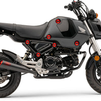 COBRA Solo Luggage Rack Black Formed Hon Grom