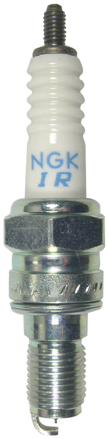 Ngk Spark Plug #3653/04 - Street Collection