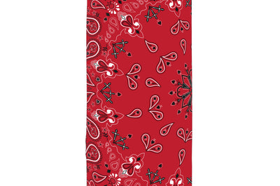 Zan Sportflex Motley Tube Carbon Hex - Red - Harddrive Products