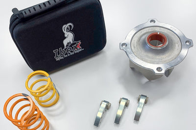 Ibexx Stage 2 Clutch Kit Pol - Atv Performance Products