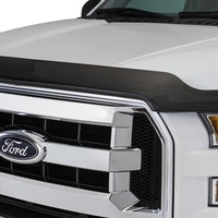 Stampede 2006-2008 Lincoln Mark LT Vigilante Premium Hood Protector - Smoke - Deflectors