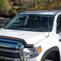 Stampede 2008-2019 Toyota Sequoia Vigilante Premium Hood Protector - Smoke - Deflectors