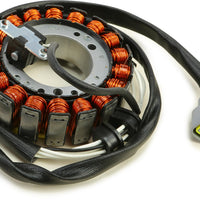 Sp1 Stator Assembly - Snowmobile Collection