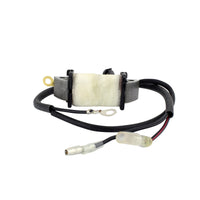 RM STATOR Stator Source Coil - Electrical