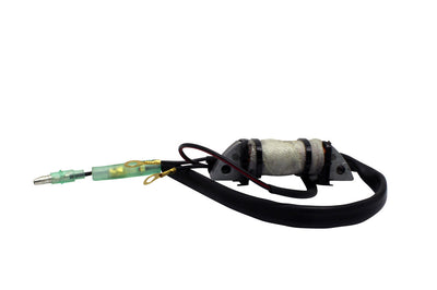RM STATOR Stator Source Coil - Electrical