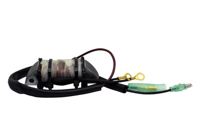 RM STATOR Stator Source Coil - Electrical