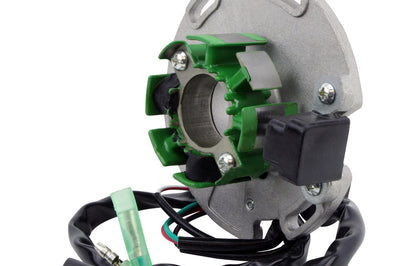 RM STATOR Stator Stator + Pickup + Back Plate - Electrical