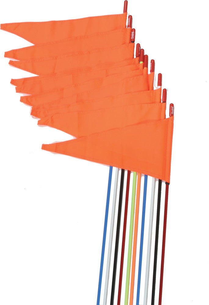 Firestik Strobestik Safety Flags Assorted 10/pk - Snowmobile Collection