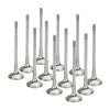Supertech BMW N54 Turbo 3.0L Inconel Exhaust Valve- Set of 12 - Engine Components