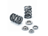 Supertech Honda Integra LS B18A/B Dual Valve Spring Kit - Engine Components