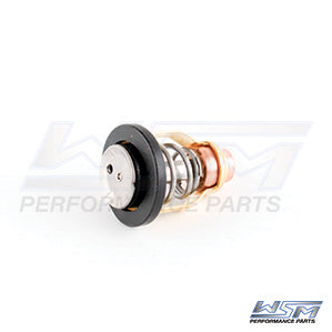 Wsm Thermostat Yam