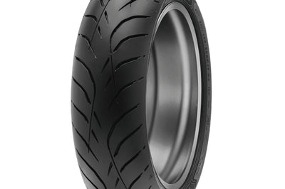 Dunlop Tire Roadsmart Iv Rear 170/60zr17 (72w) Tl - Tires & Wheels