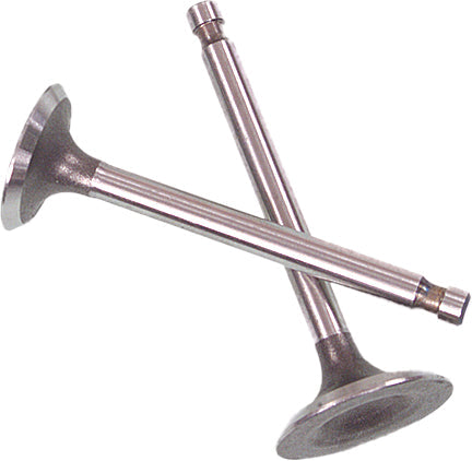 Shindy Valve Set Trx300fw ’88-00 - Atv Performance Products