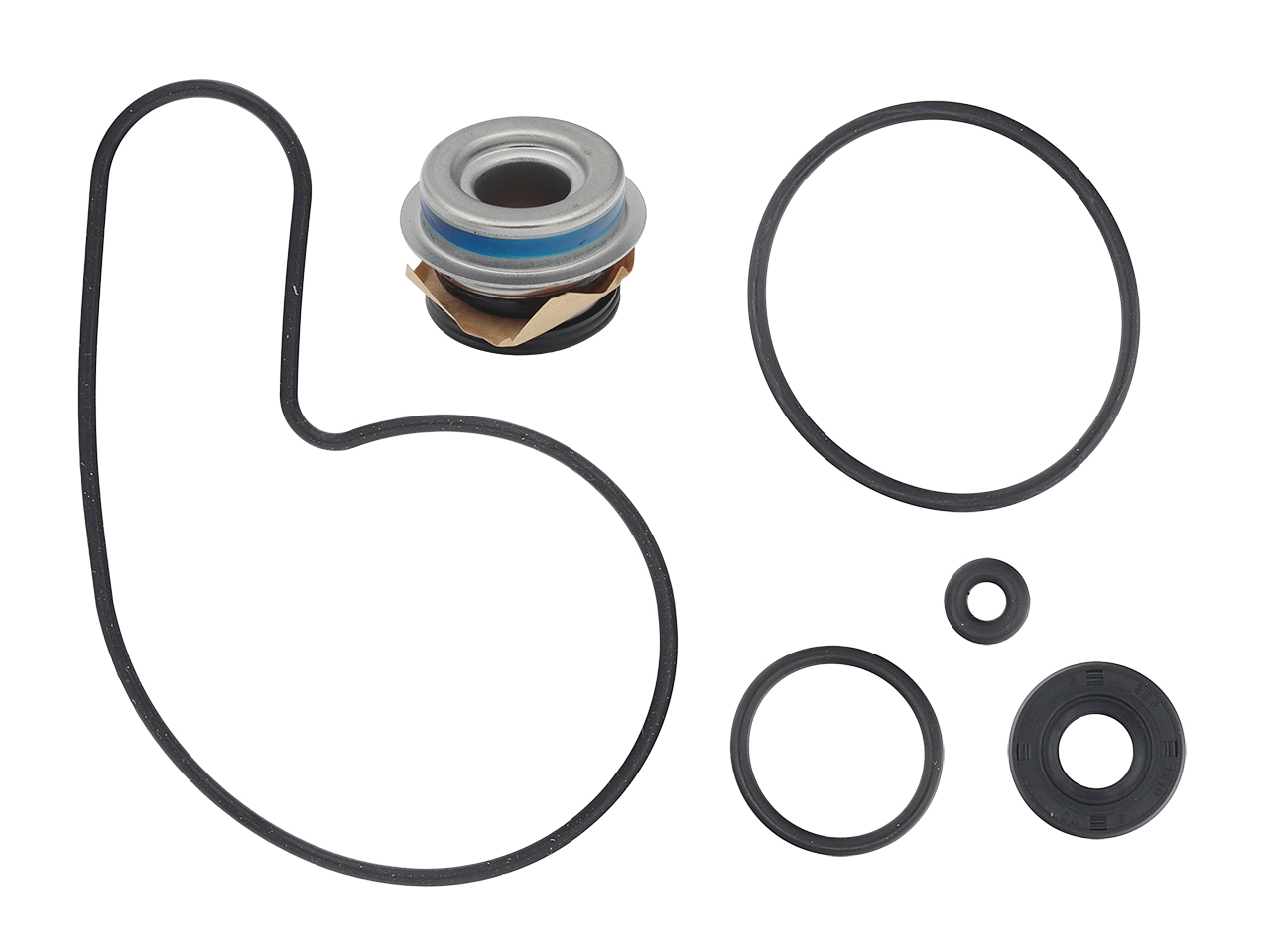 Sp1 Water Pump Repair Kit Ac - Snowmobile Collection