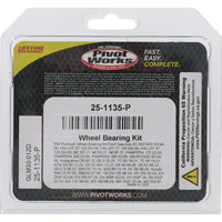 PIVOT WORKS Wheel Bearing Kit Premium - Drive