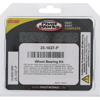 Pivot Works Wheel Bearing Kit Premium - Offroad Collection