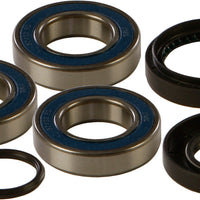 All Balls Wheel Bearing & Seal Kit - Atv Performance Products