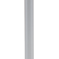 KPMI White Diamond Int. Valve 1.614 O/S M8 `17 24 Non Vvt