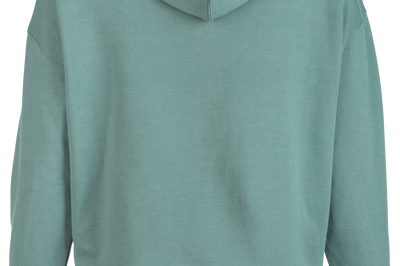 Fly Racing Women’s Weekender Hoodie Sage/black Xl - Gear