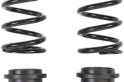Zbroz Dual Rate Spring Kit 36’’ Standard S-d Gen4 S/m - Snowmobile Collection